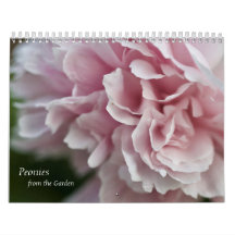 Calendrier des pivoines