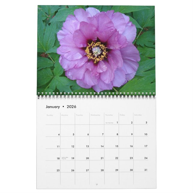 Calendrier des pivoines 2010 (Jan 2026)