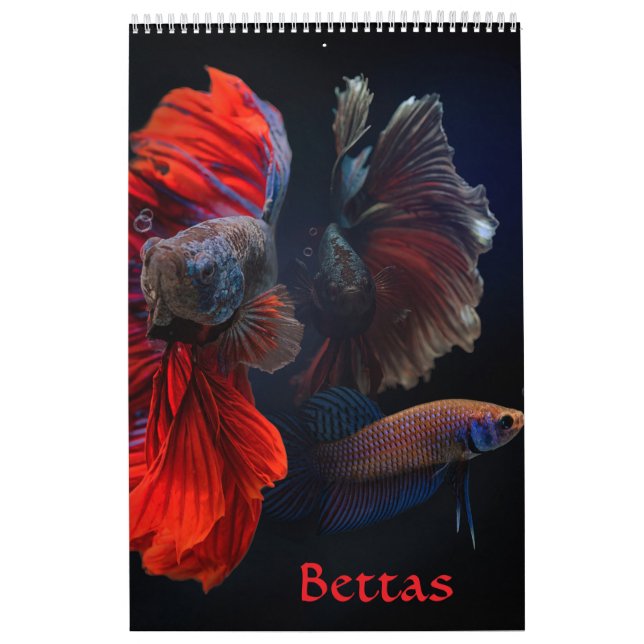 Calendrier des poissons bêta (Protection)