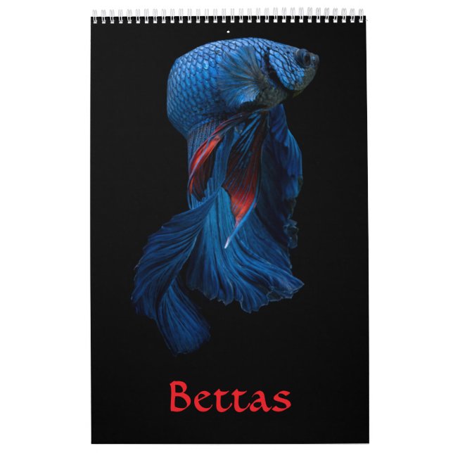 Calendrier des poissons bêta (Protection)