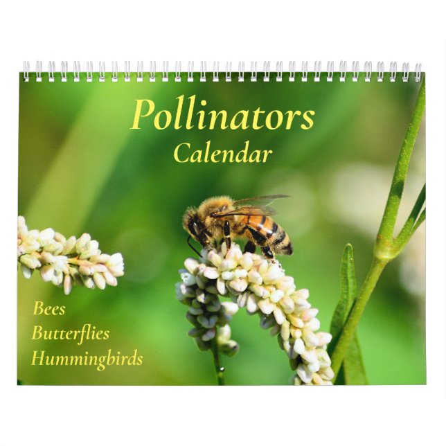 Calendrier des pollueurs (Protection)