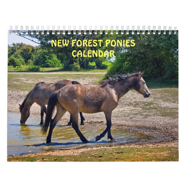 Calendrier des poneys de New Forest (Protection)