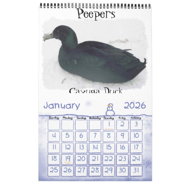 Calendrier des poulets (Jan 2026)