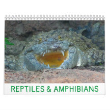 Calendrier des reptiles et des amphibiens