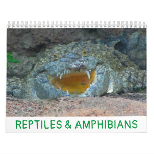 Calendrier des reptiles et des amphibiens