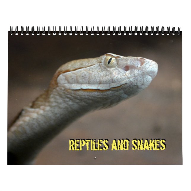 Calendrier des reptiles et des serpents (Protection)