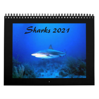 Calendrier des requins 2021