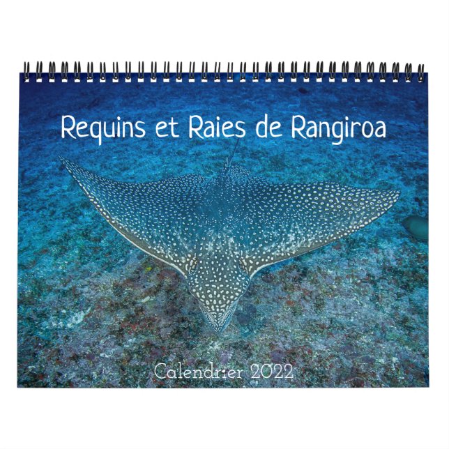 Calendrier des Requins et des Raies カレンダー (Protection)