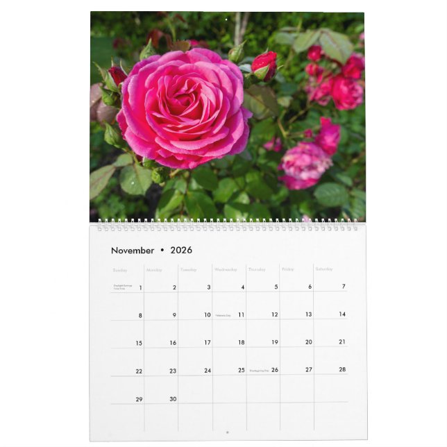 Calendrier des roses roses roses (Nov 2026)