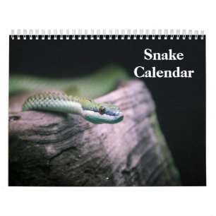 Calendrier des Serpents 2027