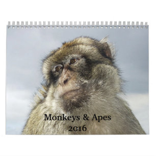Calendrier des singes et singes 2016