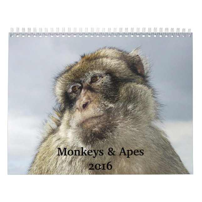 Calendrier des singes et singes 2016 (Protection)