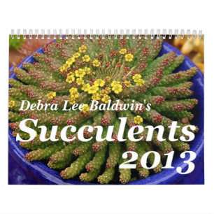 Calendrier des Succulents 2013 de Debra Lee Baldwi