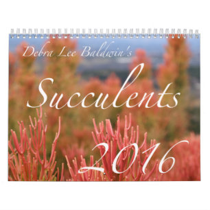 Calendrier des Succulents 2016 par Debra Lee