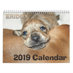 Calendrier des teckels 2019 d'Eridox