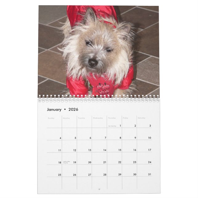 Calendrier des terriers de cairn 2011 (Jan 2026)