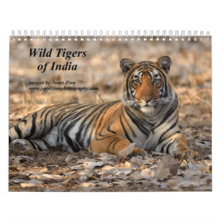 Calendrier des Tigres sauvages d'Inde