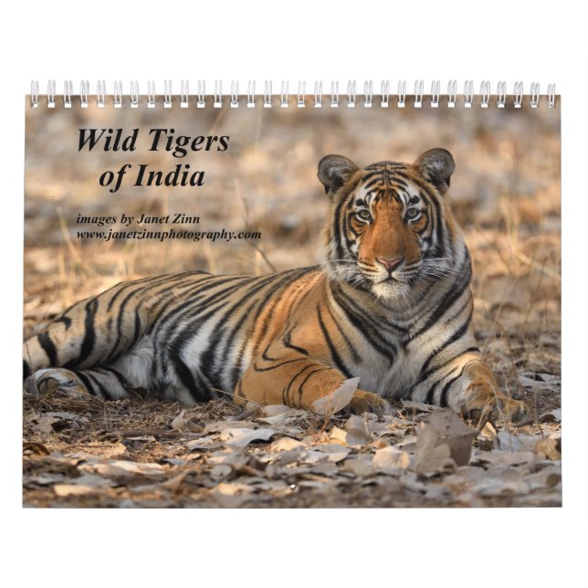 Calendrier des Tigres sauvages d'Inde (Protection)