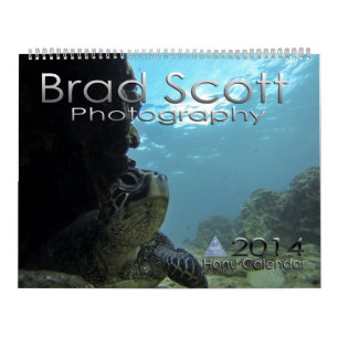 Calendrier des tortues marines par Brad Scott Phot