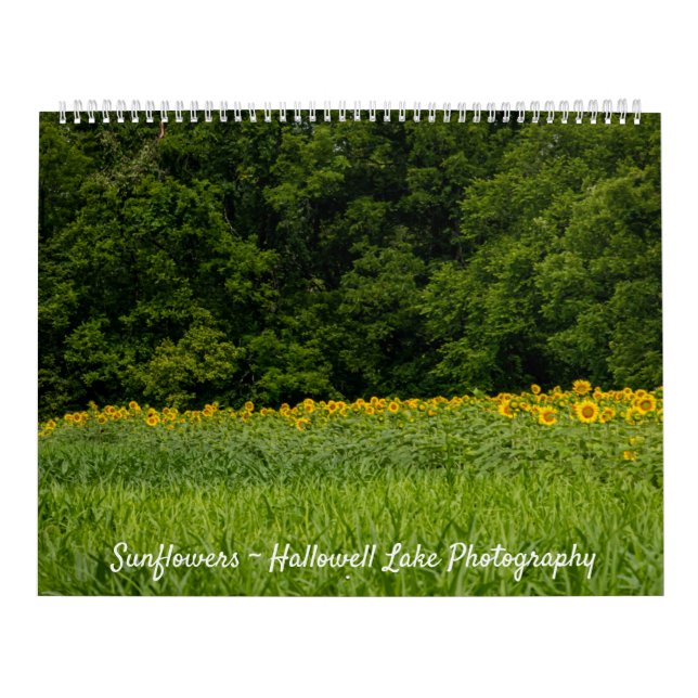 Calendrier des tournesols (Protection)