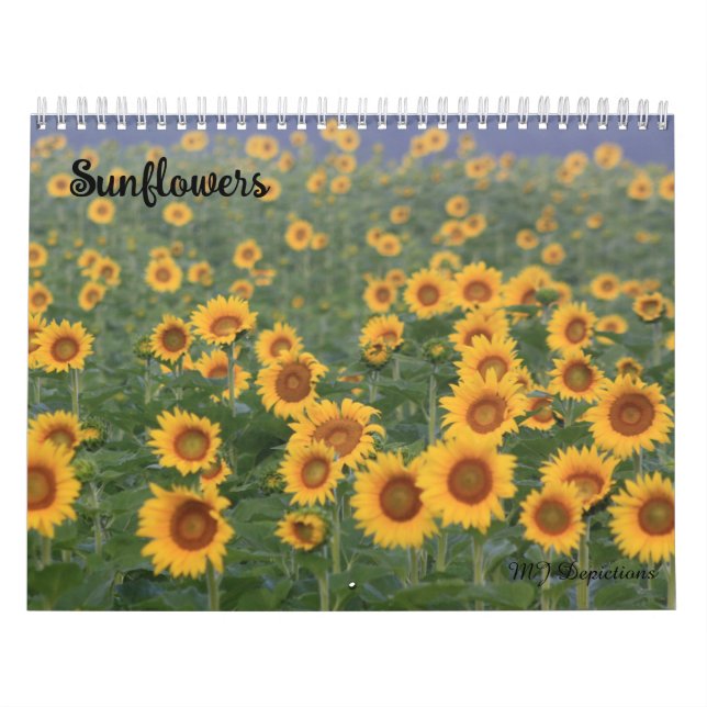 Calendrier des tournesols (Protection)