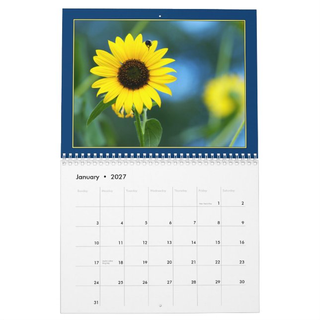 Calendrier des tournesols 2011 (Jan 2027)