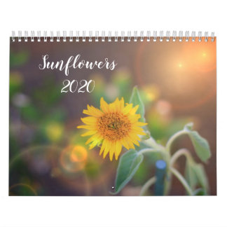 Calendrier des tournesols 2020
