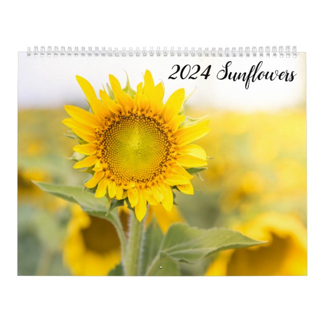 Calendrier des tournesols 2024 (Protection)