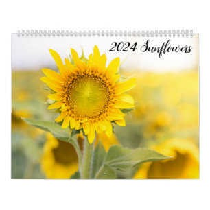 Calendrier des tournesols 2024