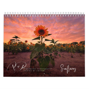 Calendrier des tournesols en marche