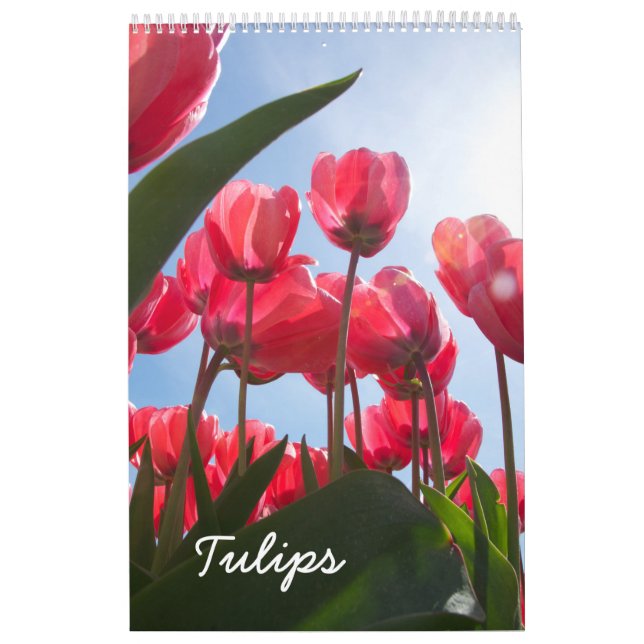 Calendrier des tulipes (Protection)