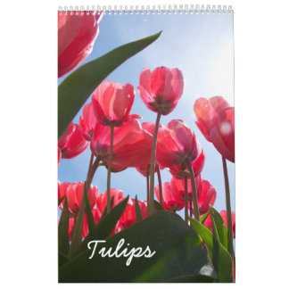 Calendrier des tulipes