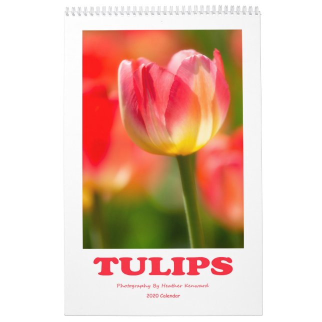 Calendrier des tulipes 2020 (Protection)