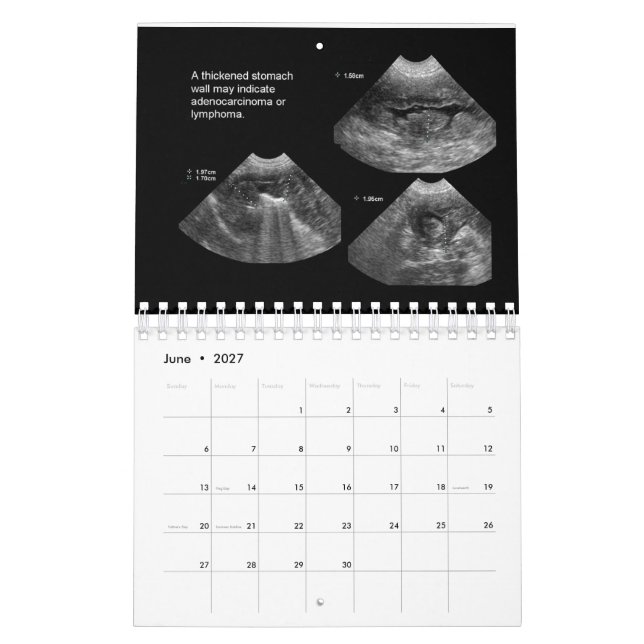 Calendrier des ultrasons vétérinaires (Jun 2027)