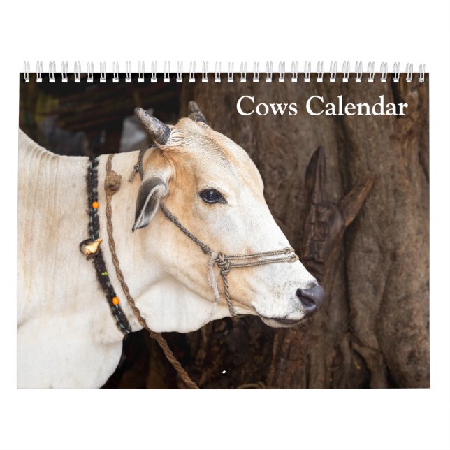 Calendrier des vaches 2026 (Protection)