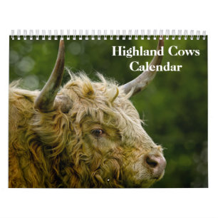 Calendrier des vaches Highland 2025