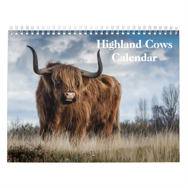 Calendrier des vaches Highland 2025 (Protection)