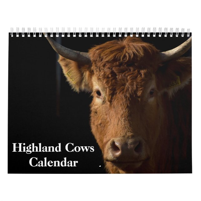 Calendrier des vaches Highland 2026 (Protection)