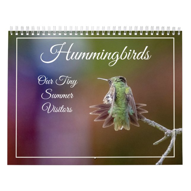 Calendrier des visiteurs d'été minuscules, colibri (Protection)