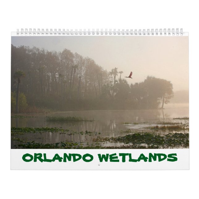 CALENDRIER DES ZONES HUMIDES D'ORLANDO (Protection)