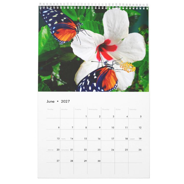 Calendrier Différentes photos de papillons avec fleurs (Jun 2027)