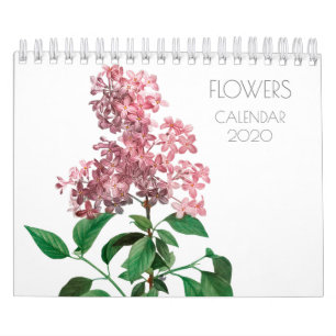 CALENDRIER D'ILLUSTRATION DE FLEURS REDOUTÉ