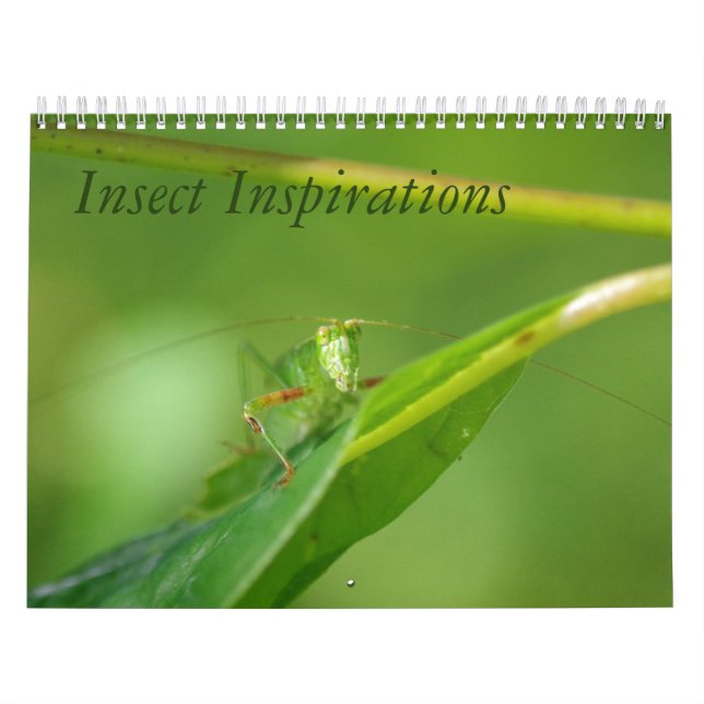 Calendrier d'inspirations d'insecte (Protection)