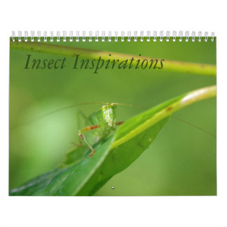 Calendrier d'inspirations d'insecte