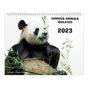 Calendrier Divers animaux isolés 2023