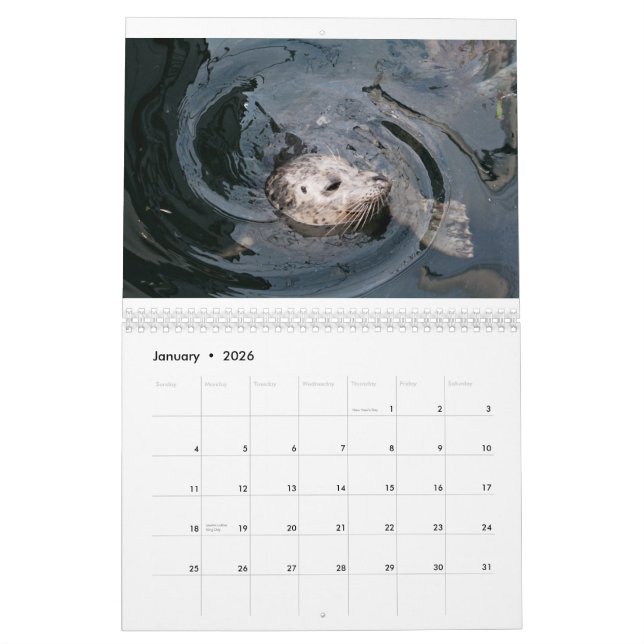 Calendrier Diversité des animaux (Jan 2026)