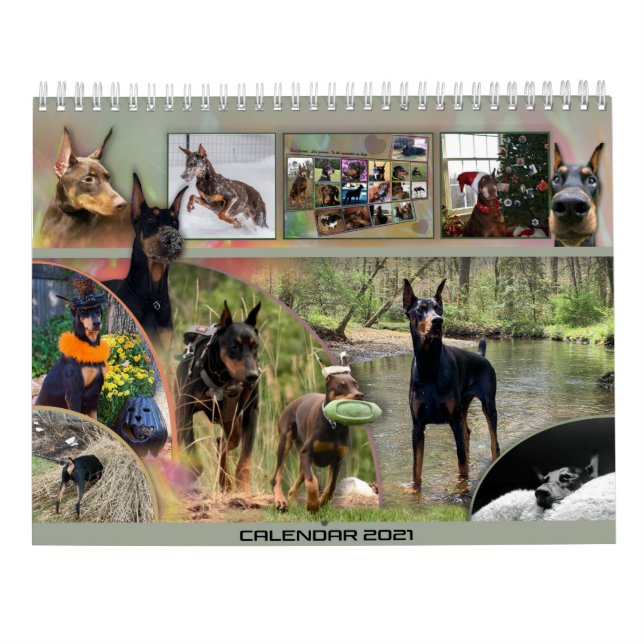 Calendrier Dobermantalk 2021 (Dos)