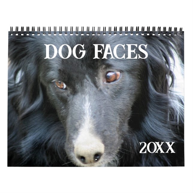 Calendrier Dog Faces And Expressions (Protection)