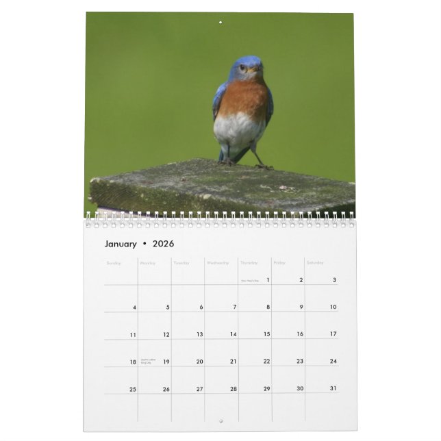 calendrier d'oiseau bleu (Jan 2026)