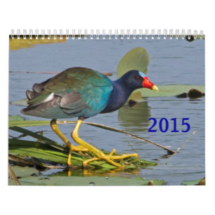 Calendrier d'oiseau de 2015 Nord-américains